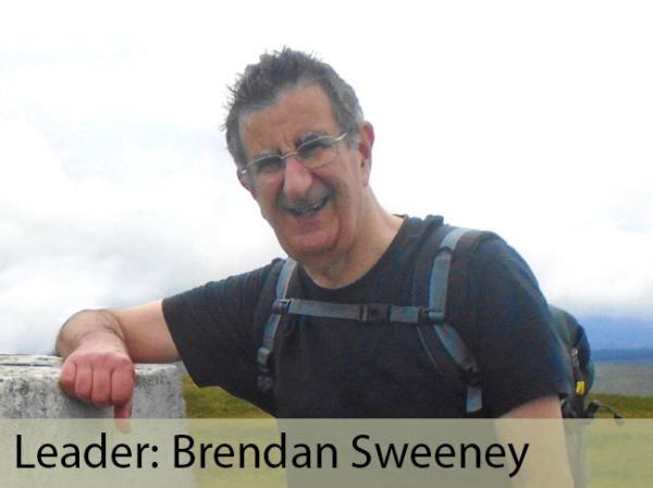 Leader: Brendan Sweeney